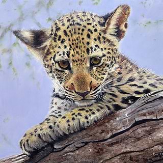 Pip McGarry Artwork